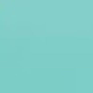 Meet your Posher, Phoebe